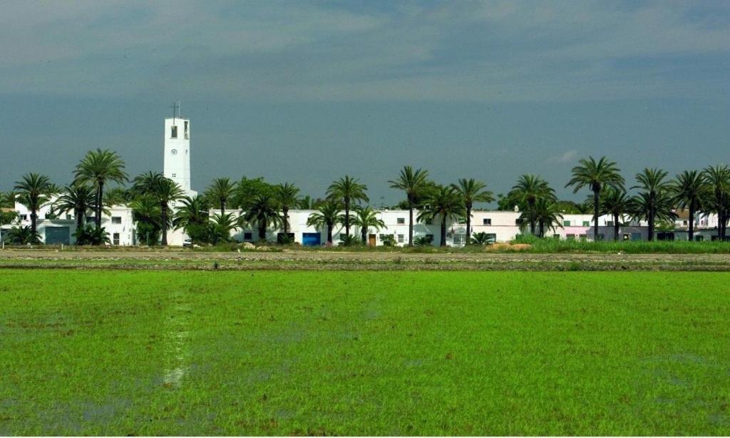 Lo Trabucador Casa Nueva En El Corazon Del Delta Villa El Poble Nou del Delta Buitenkant foto